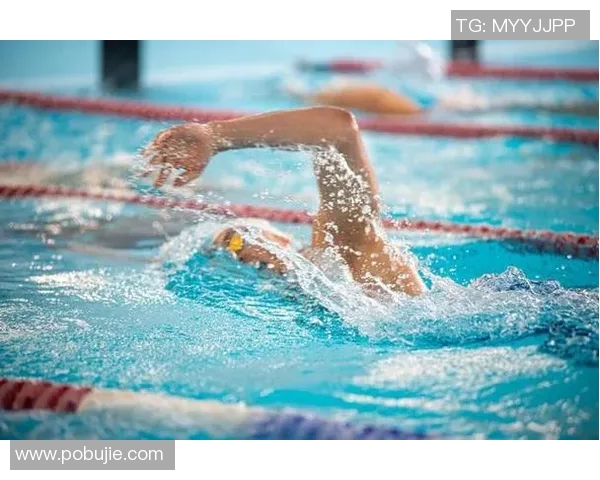 全方位自由泳技巧提升课程 从入门到精通的系统训练指南